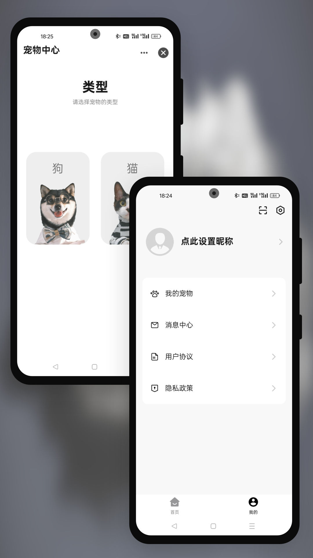 派兮宠物截图