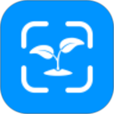 拍照识植物电脑版