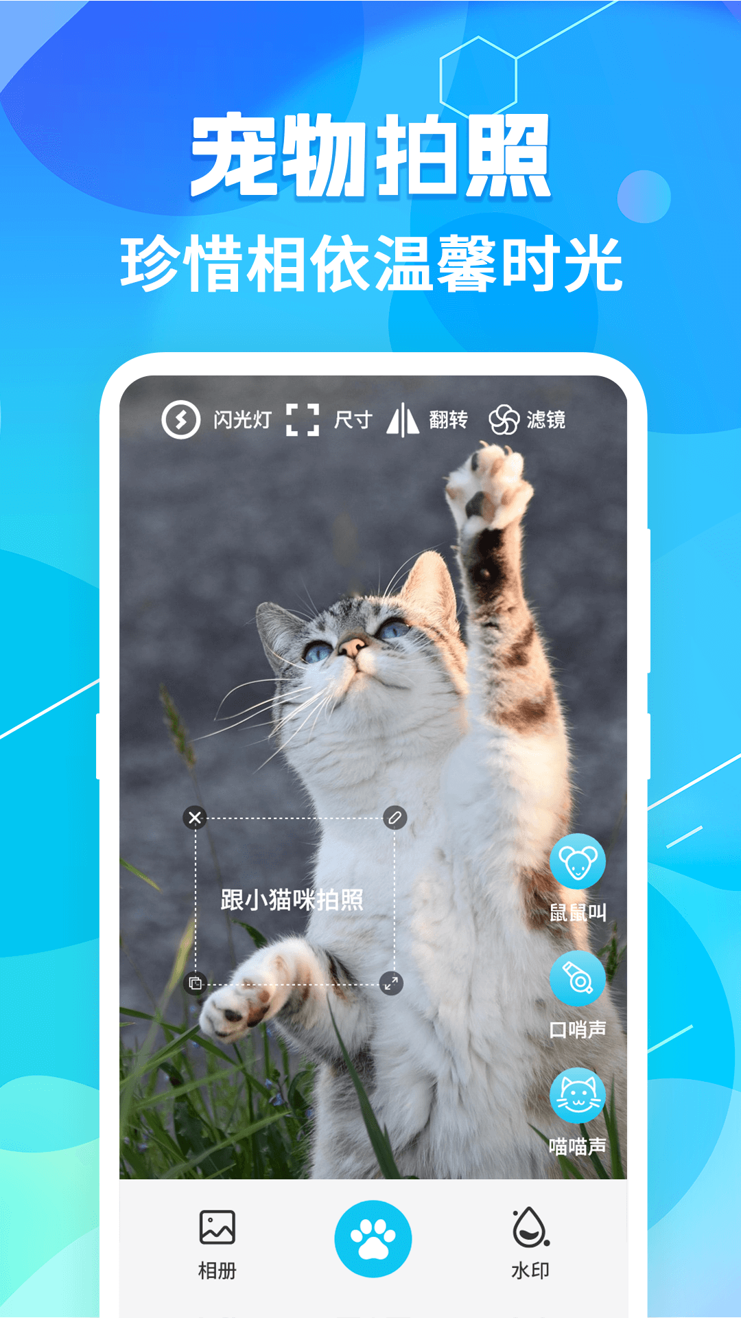 猫语翻译pet截图