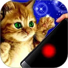 猫咪解压神器盒子电脑版