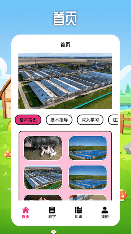 小小养殖猪场截图