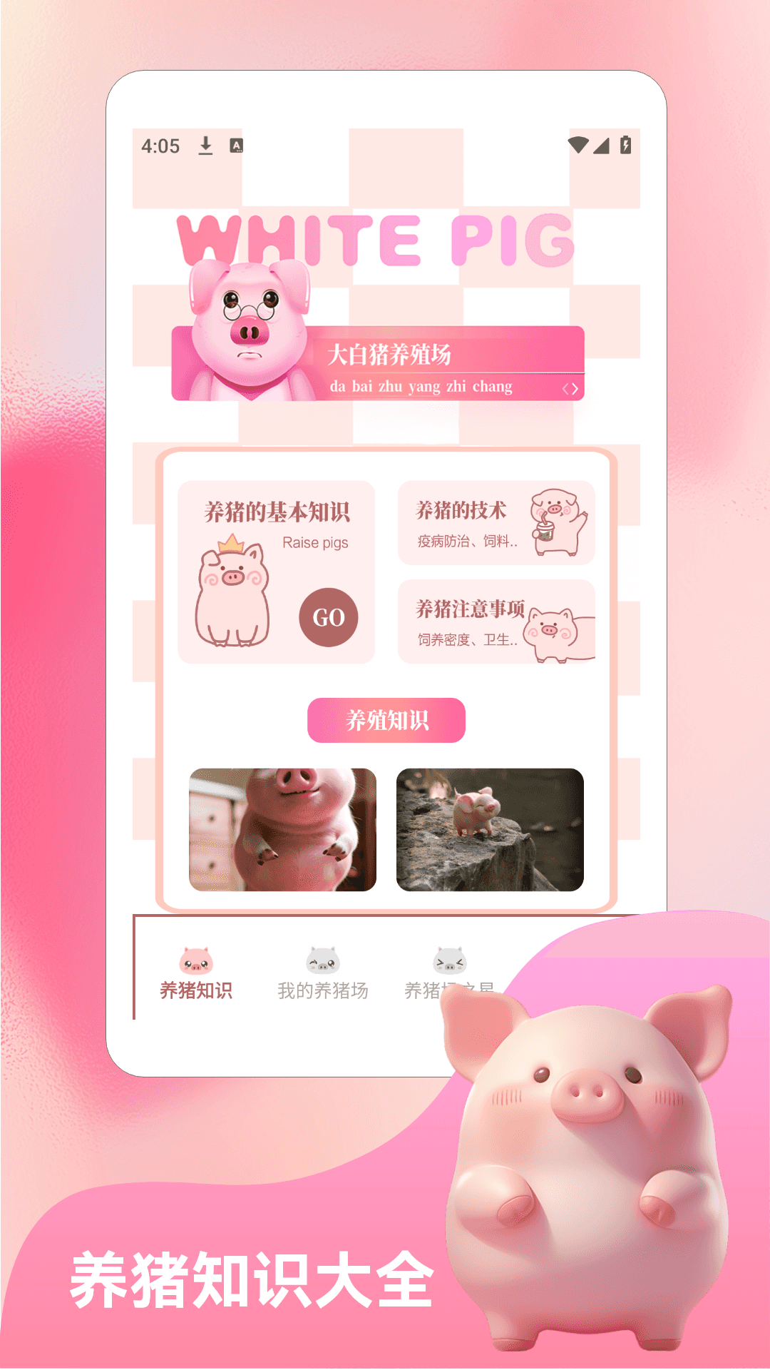 挪猪大挑战截图