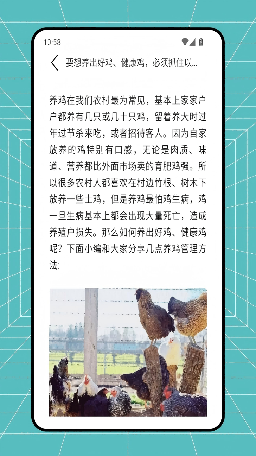 农资配截图