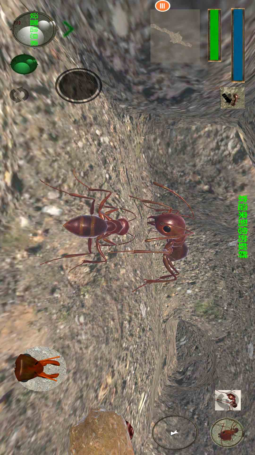 蚂蚁模拟器截图