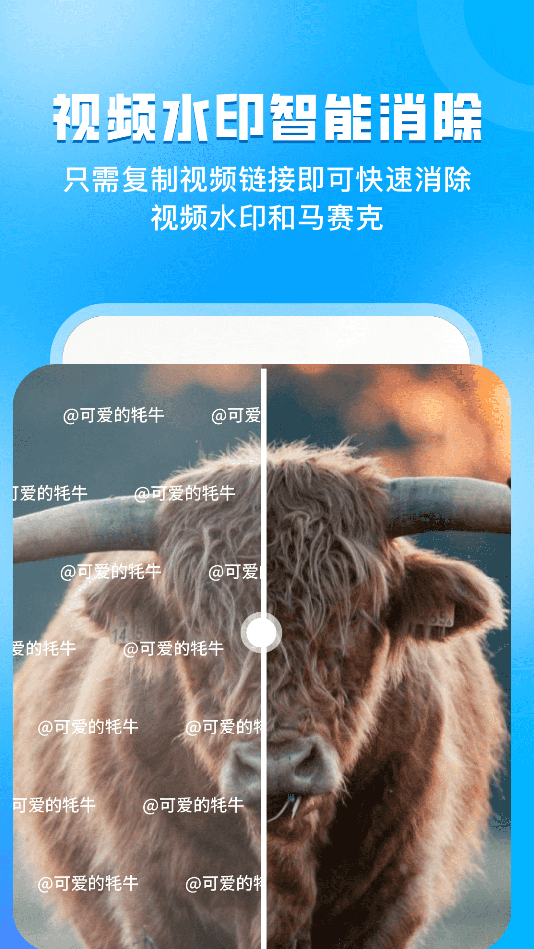 指尖虚拟摄像头截图