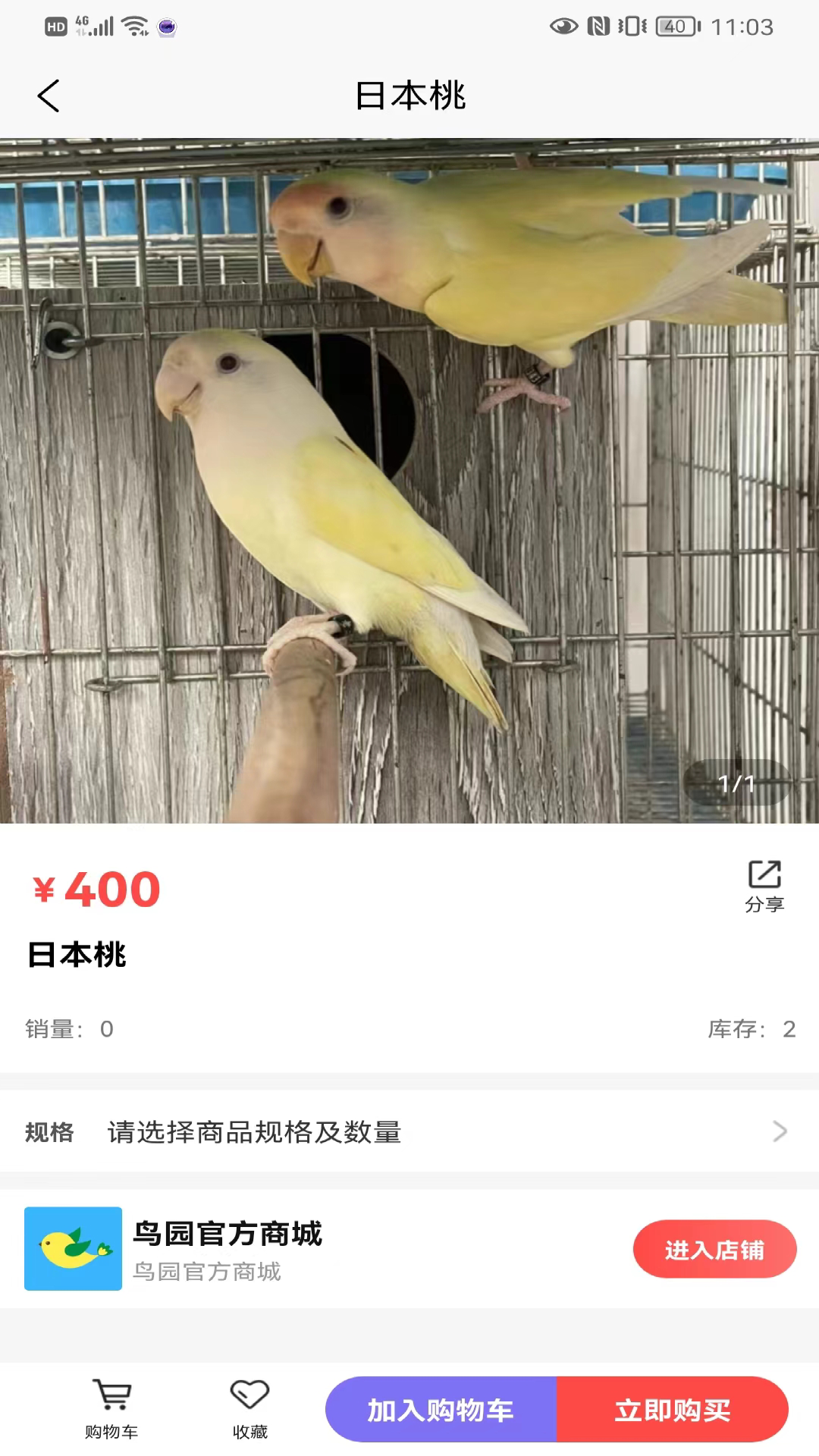 鸟园截图