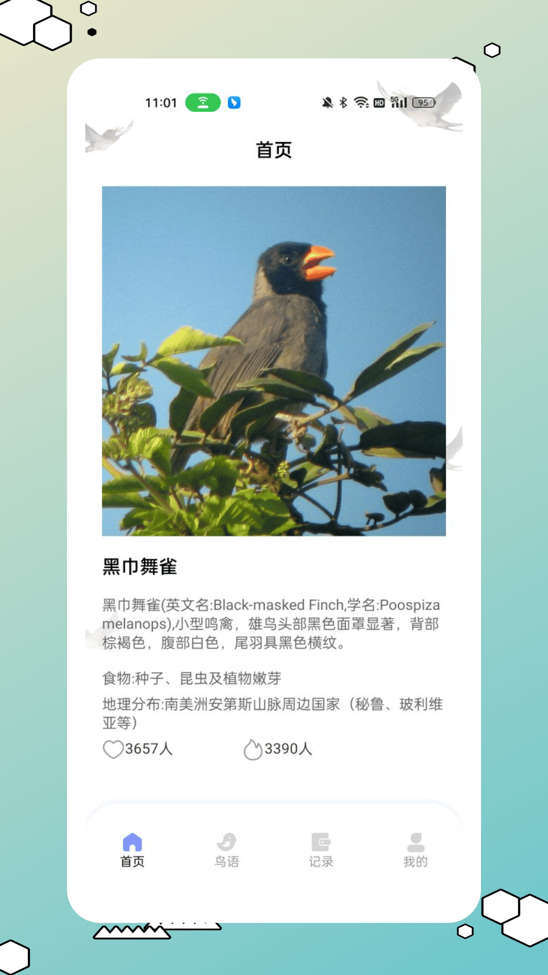 鸟类百科截图
