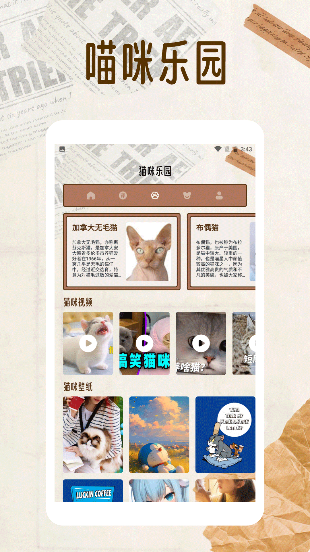 纸萌猫翻译乐园截图