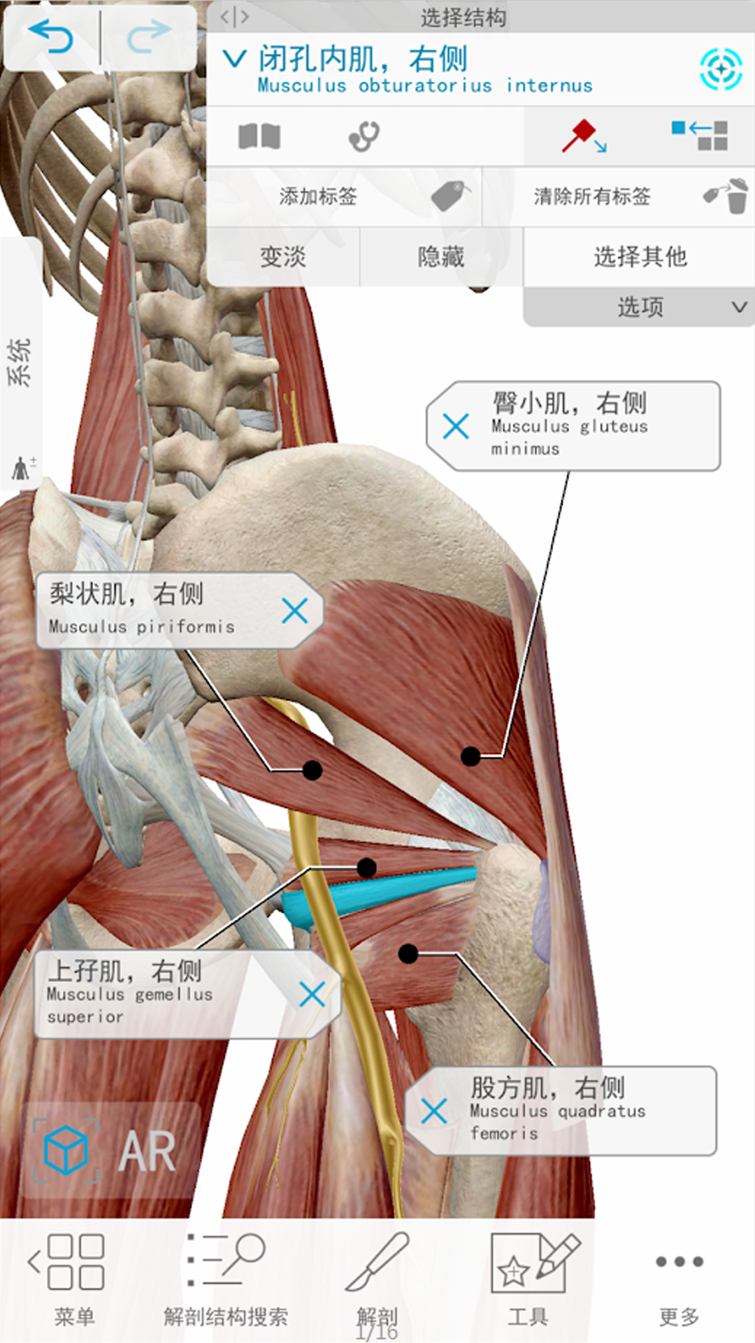 人体解剖 3d截图