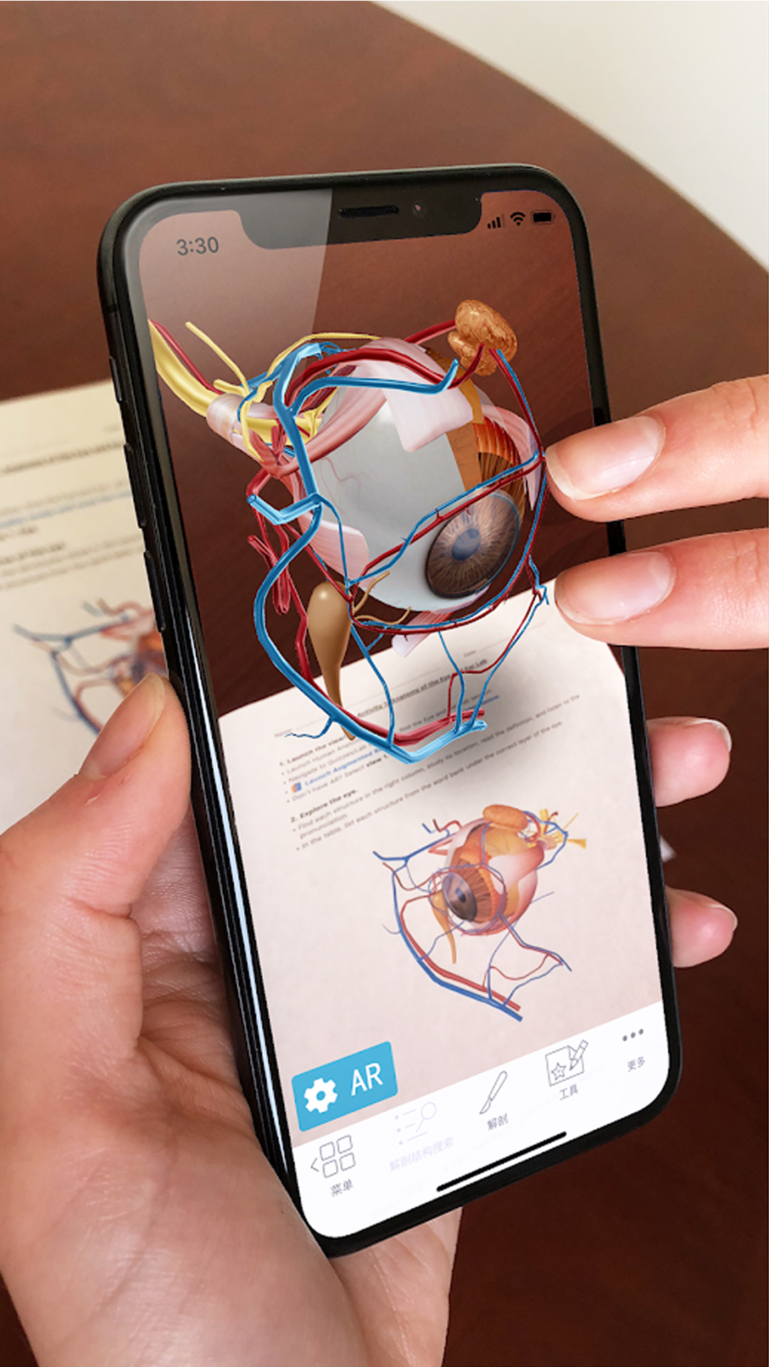 人体解剖 3d截图
