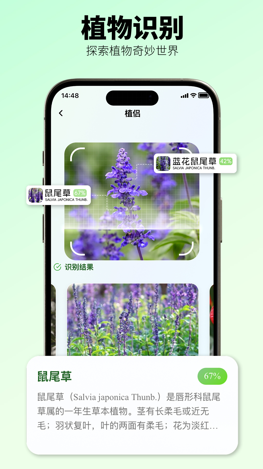 植侣截图
