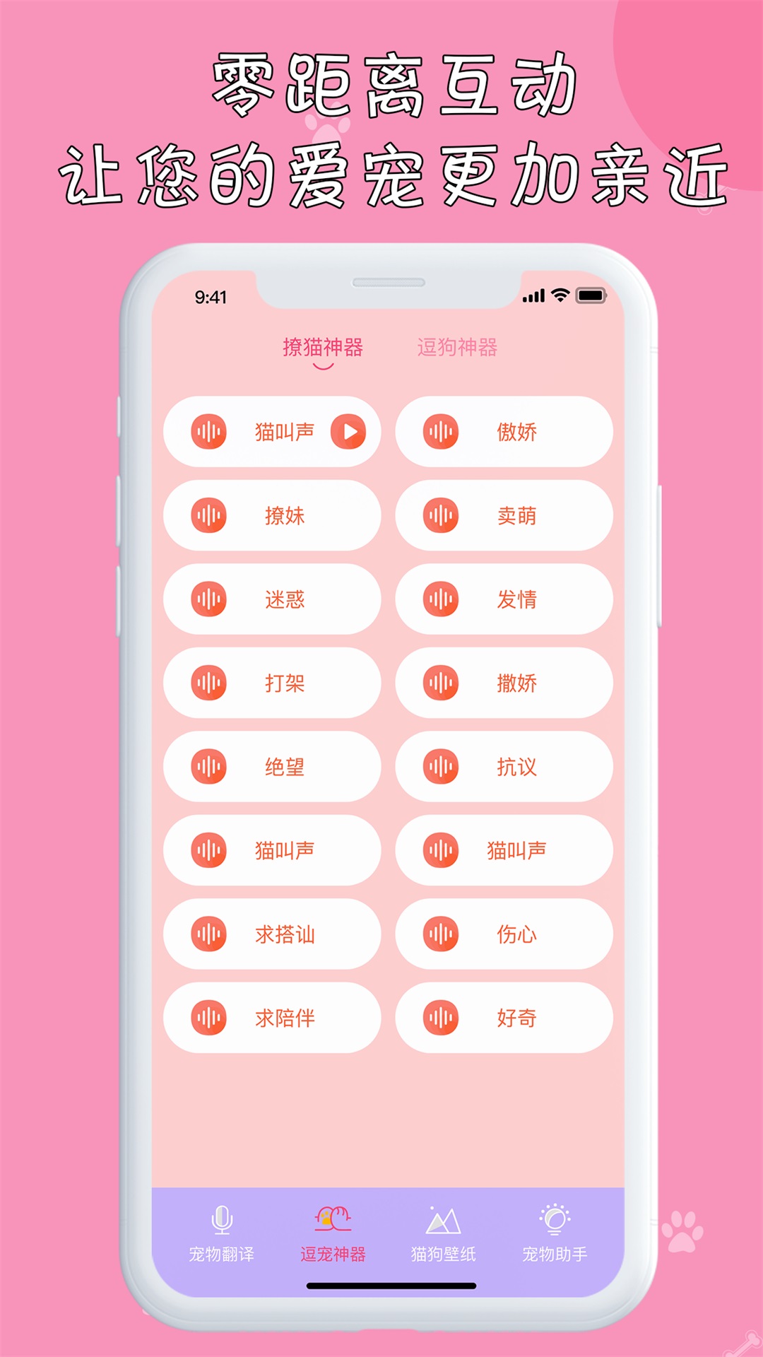 小猫截图