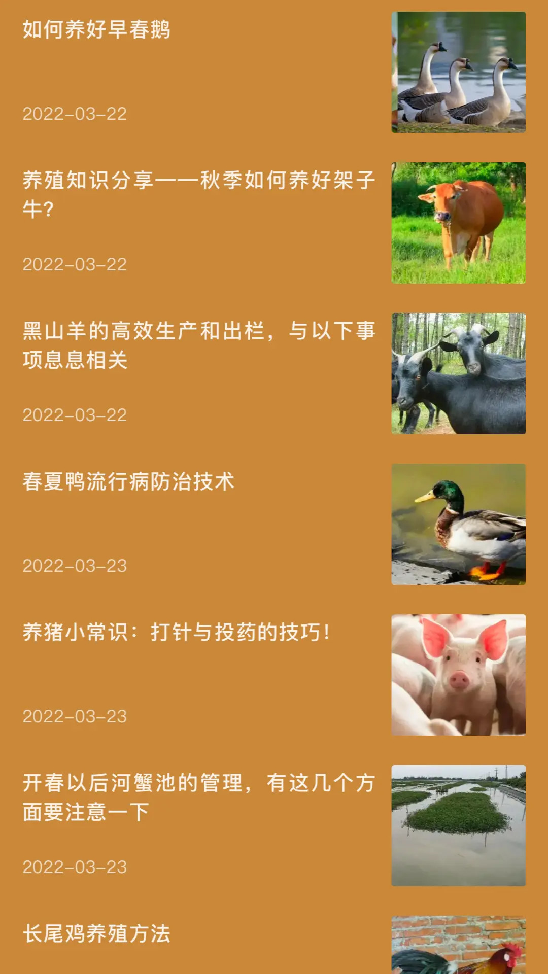 田园小院子截图