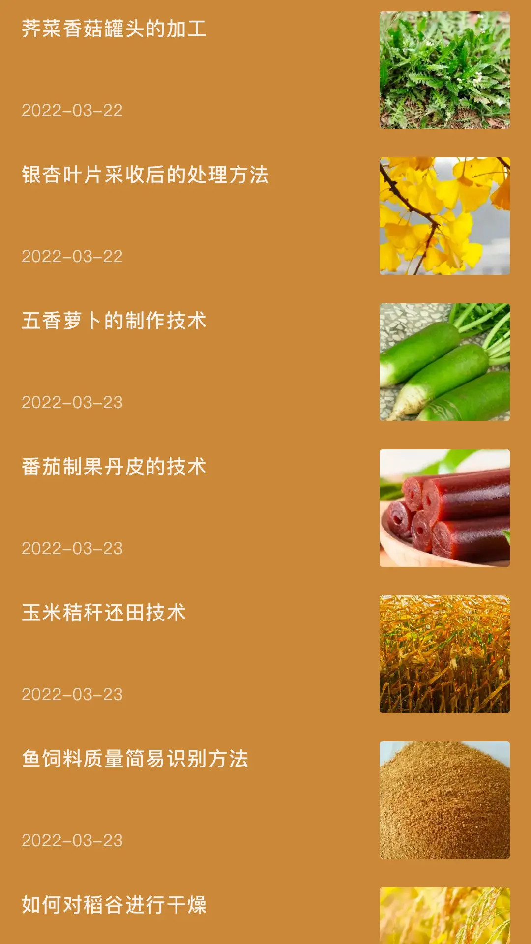 田园小院子截图