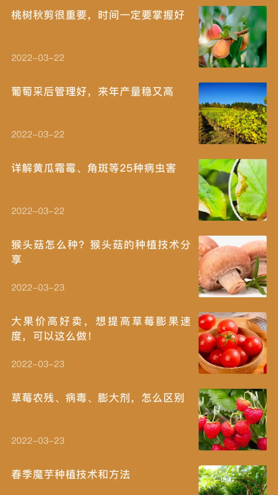 田园小院子截图