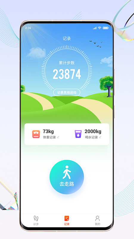 天天走路宝截图
