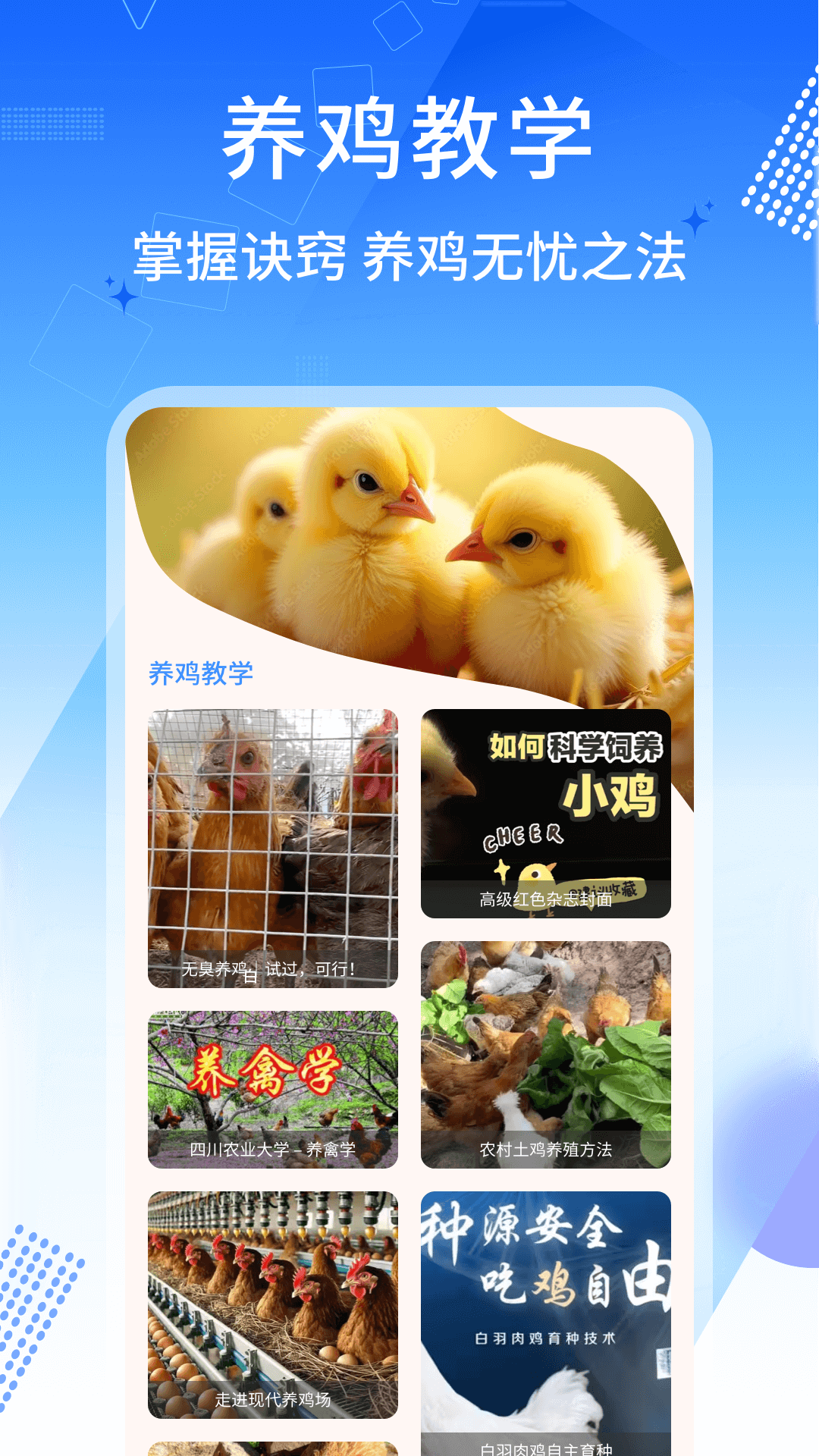 养鸡宝截图