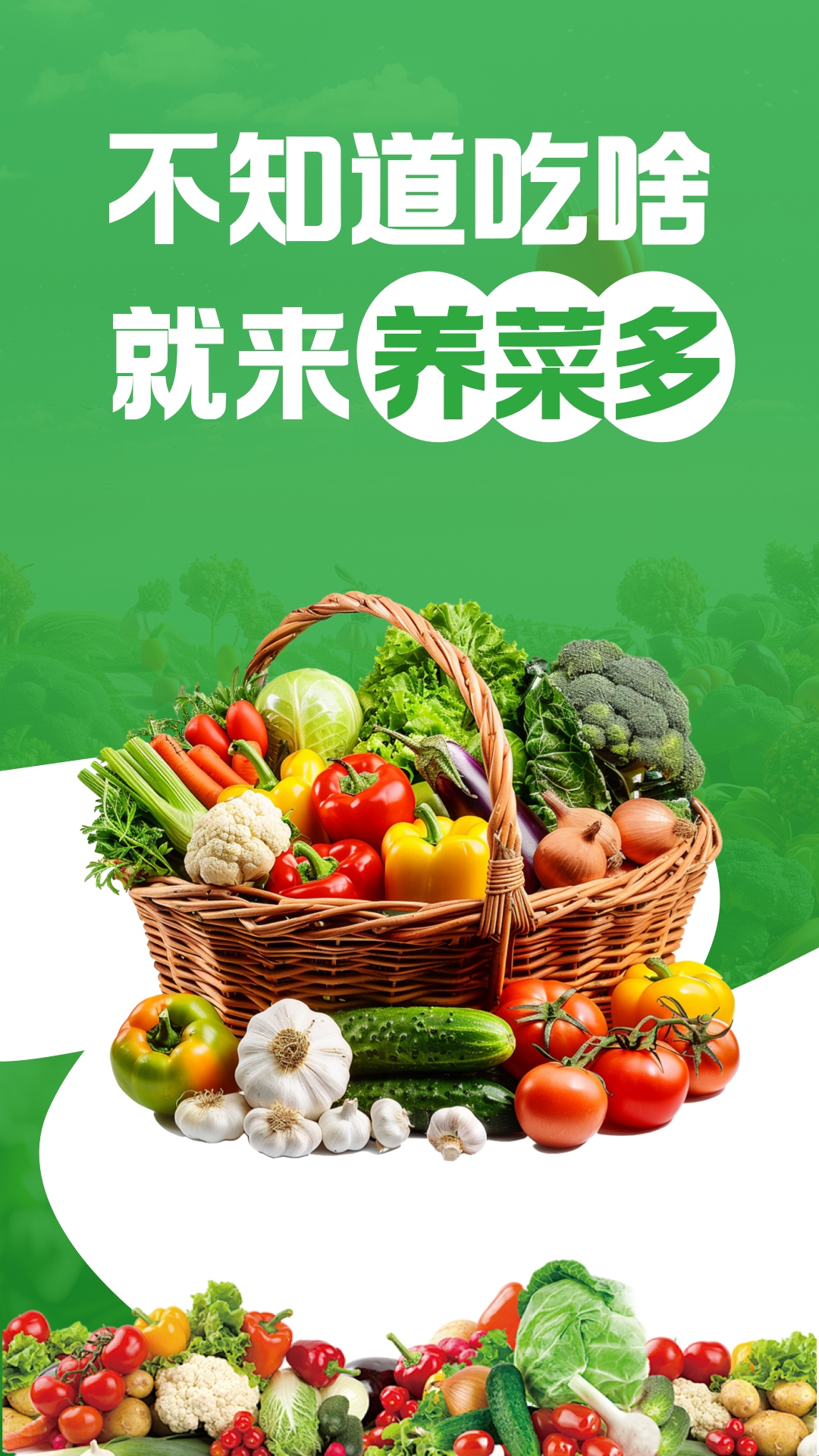 养菜多截图