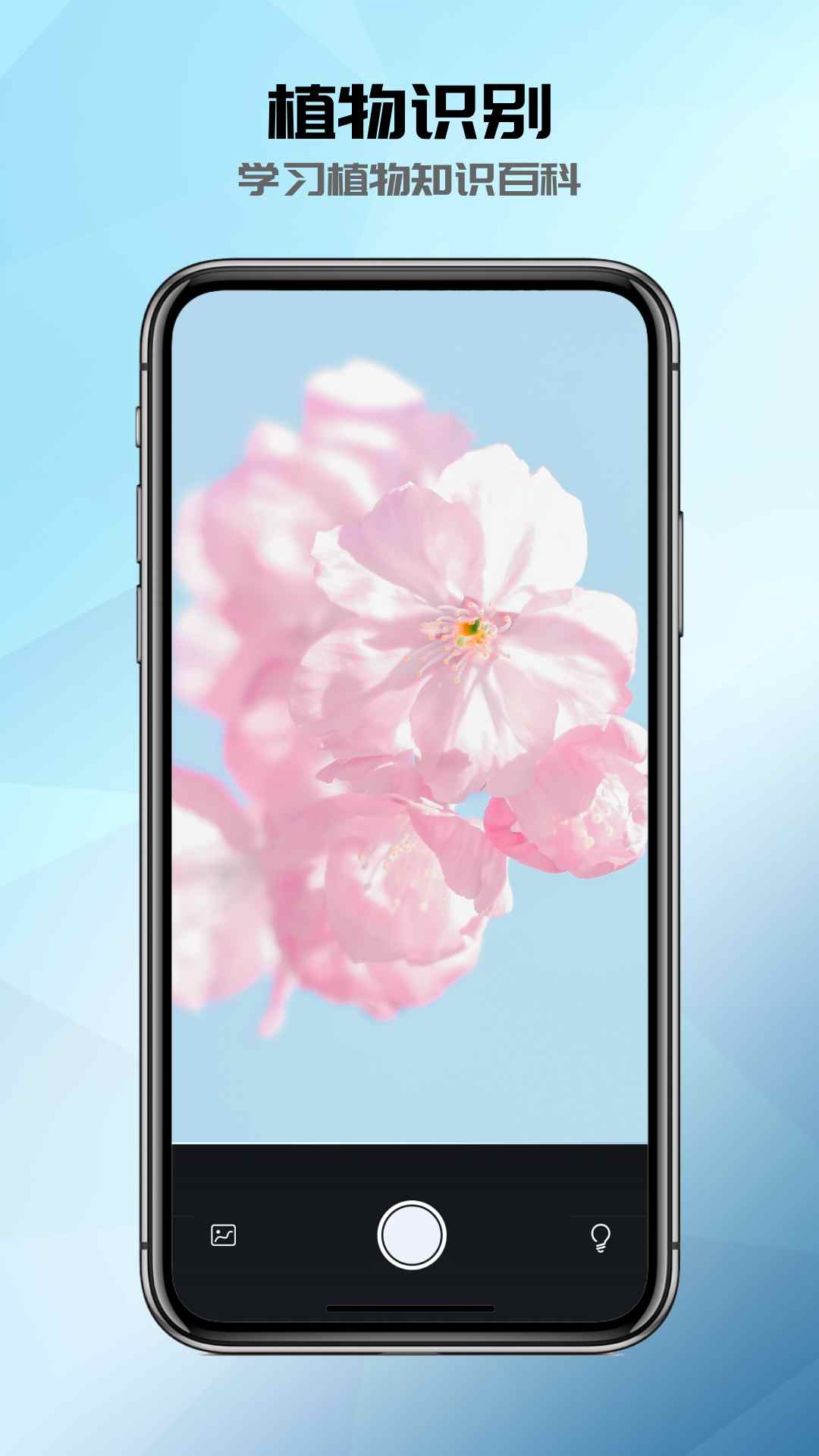 全能识别器截图
