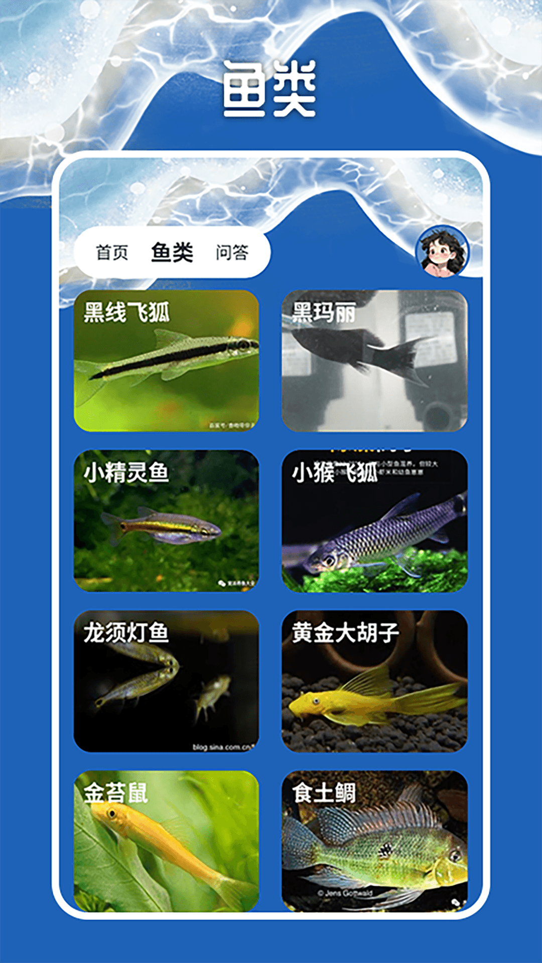 天天钓鱼大师截图