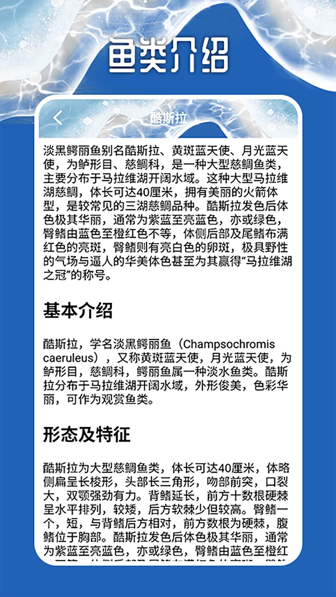 天天钓鱼大师截图