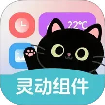 灵动皮肤小组件