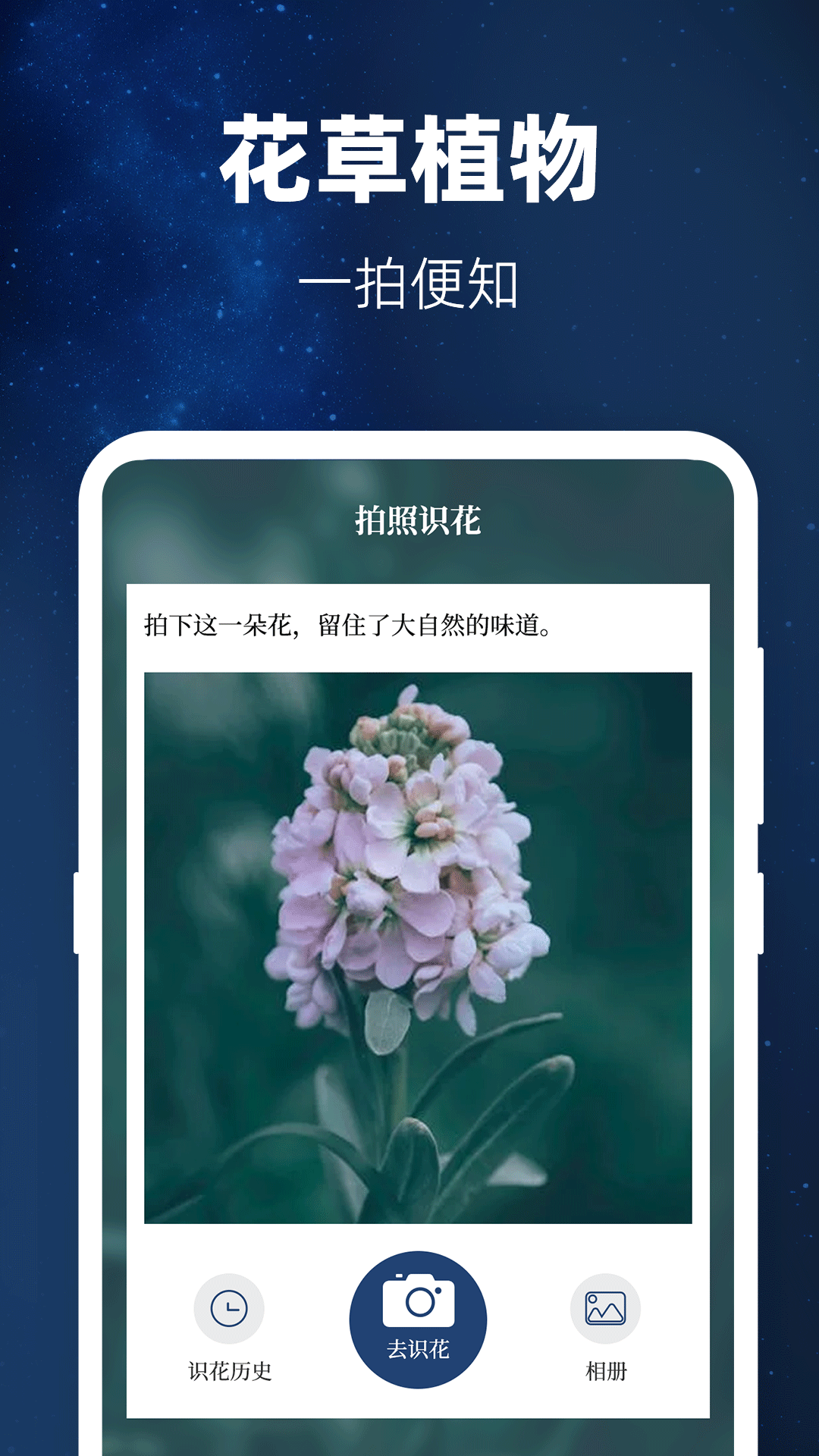 验钞工具截图