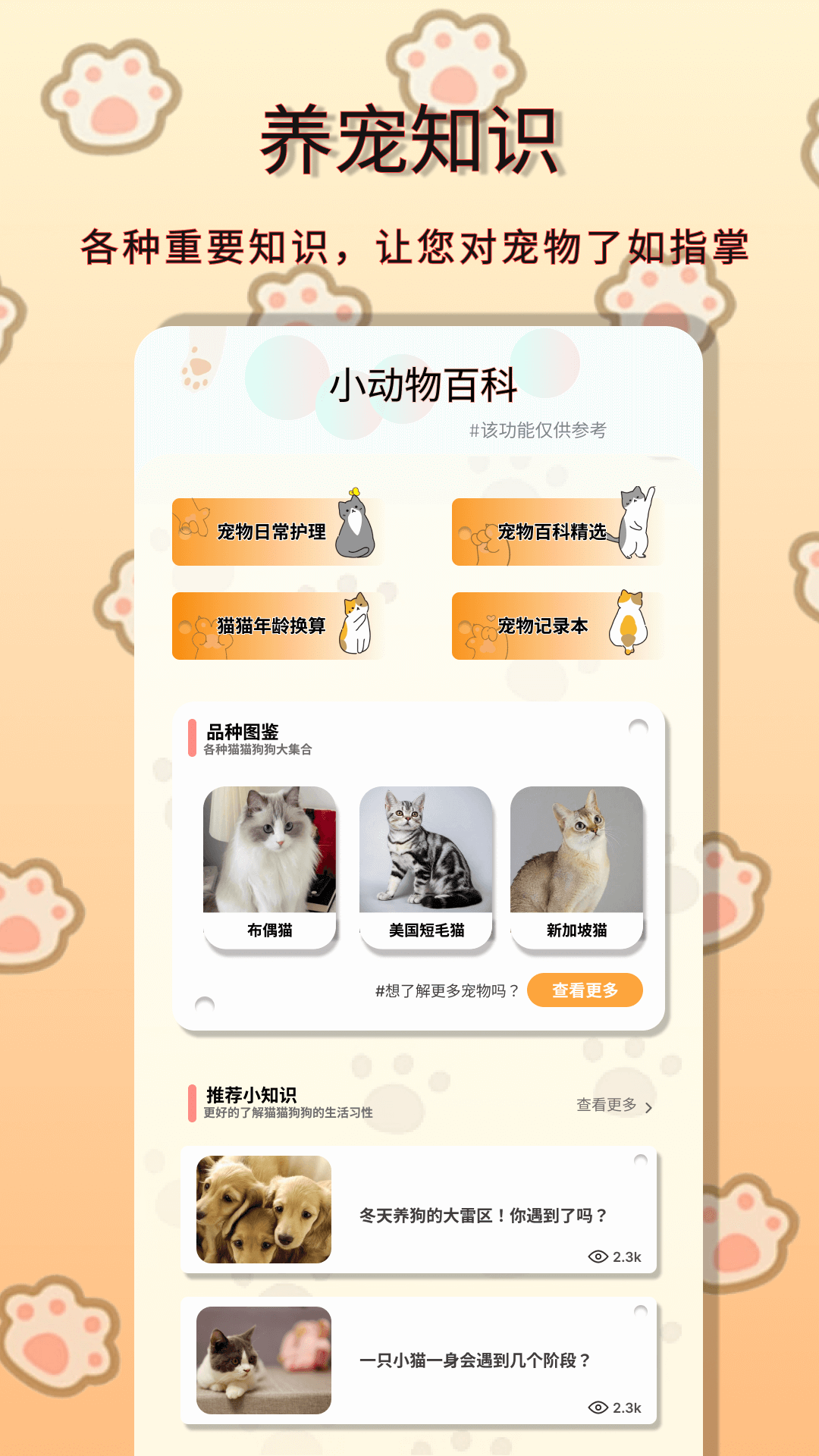 小动物之星截图