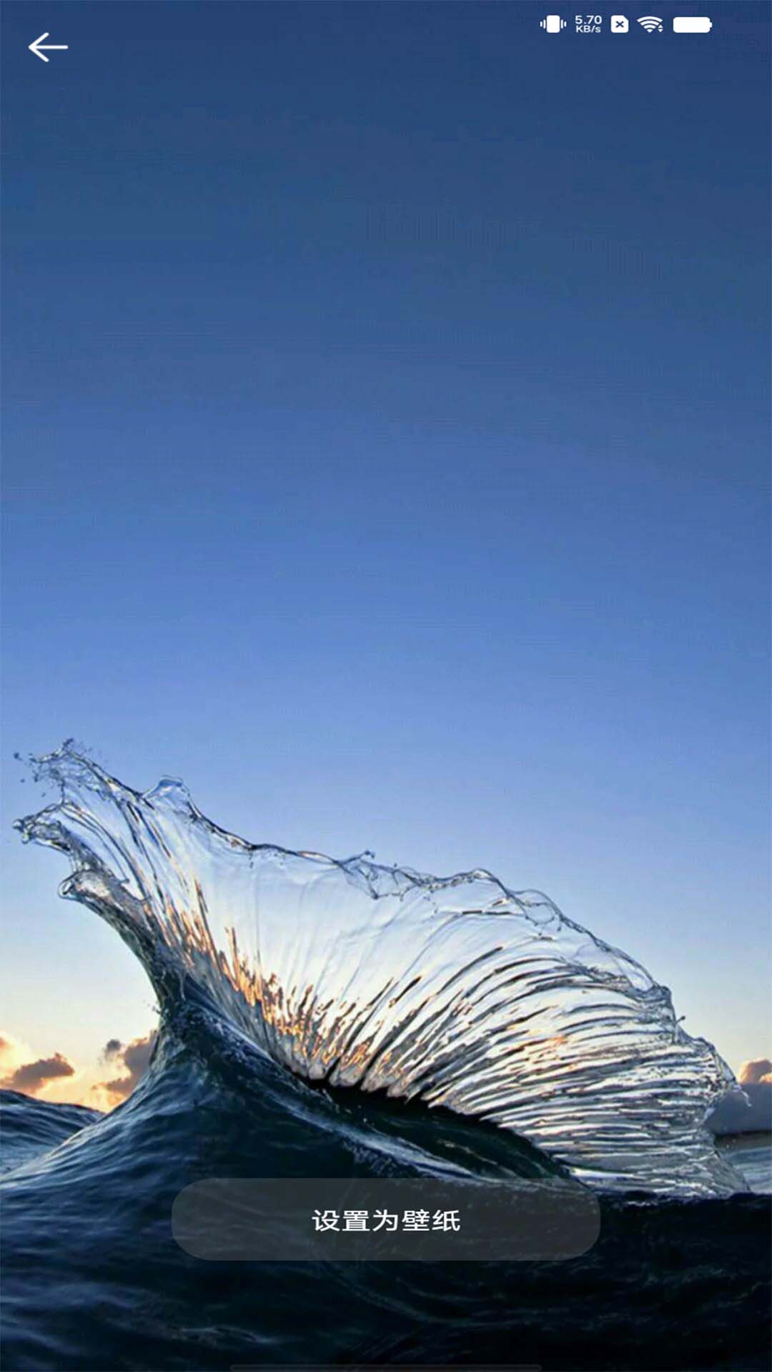 视频动态壁纸秀截图