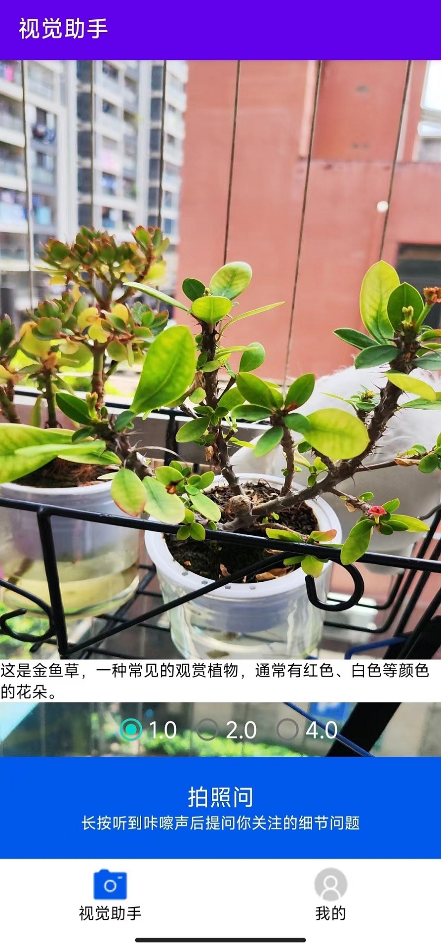 视觉助手截图