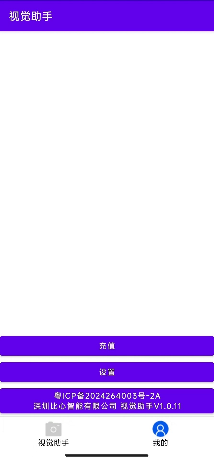 视觉助手截图