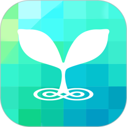 链物甄选电脑版