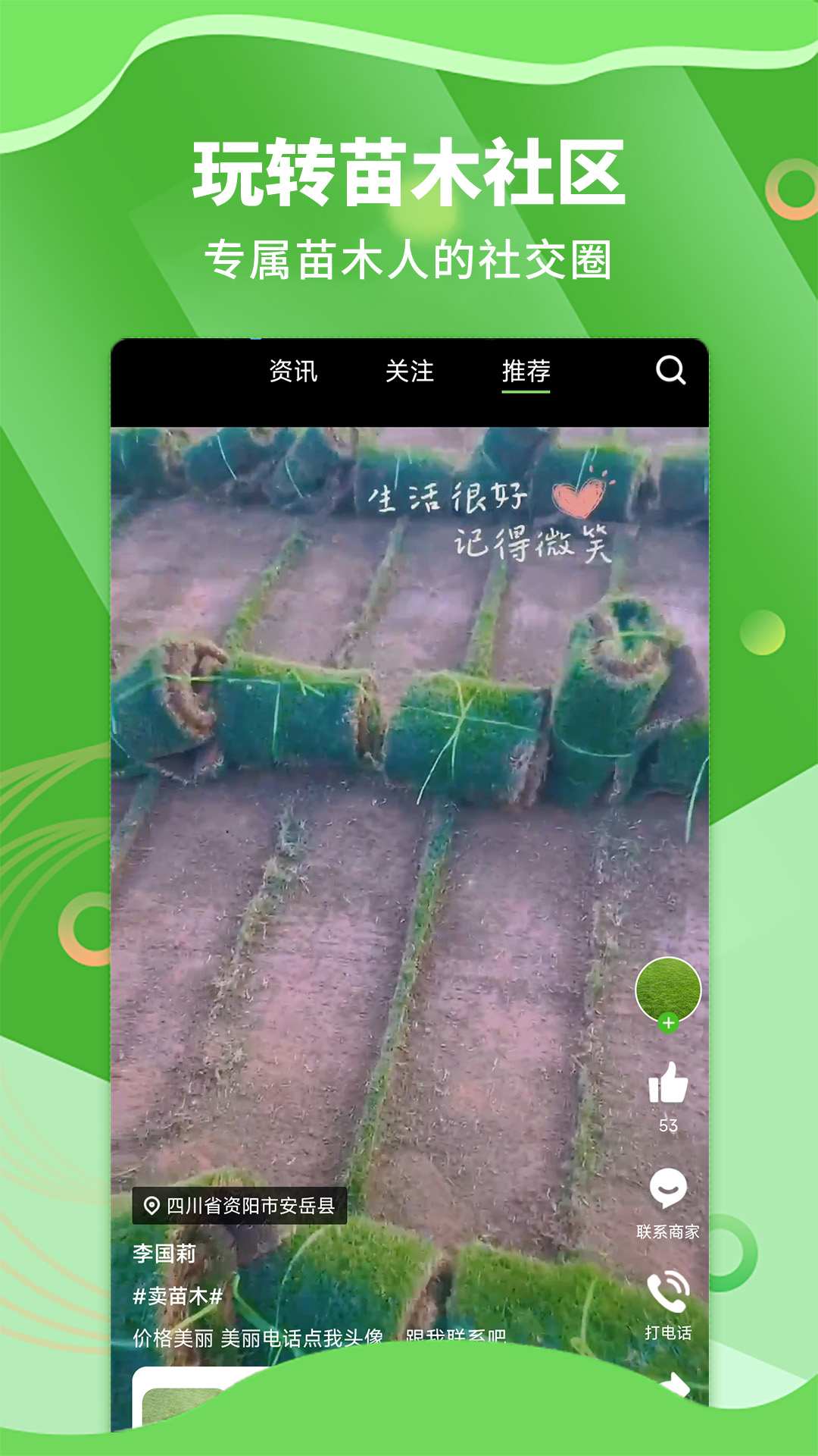 苗木通截图