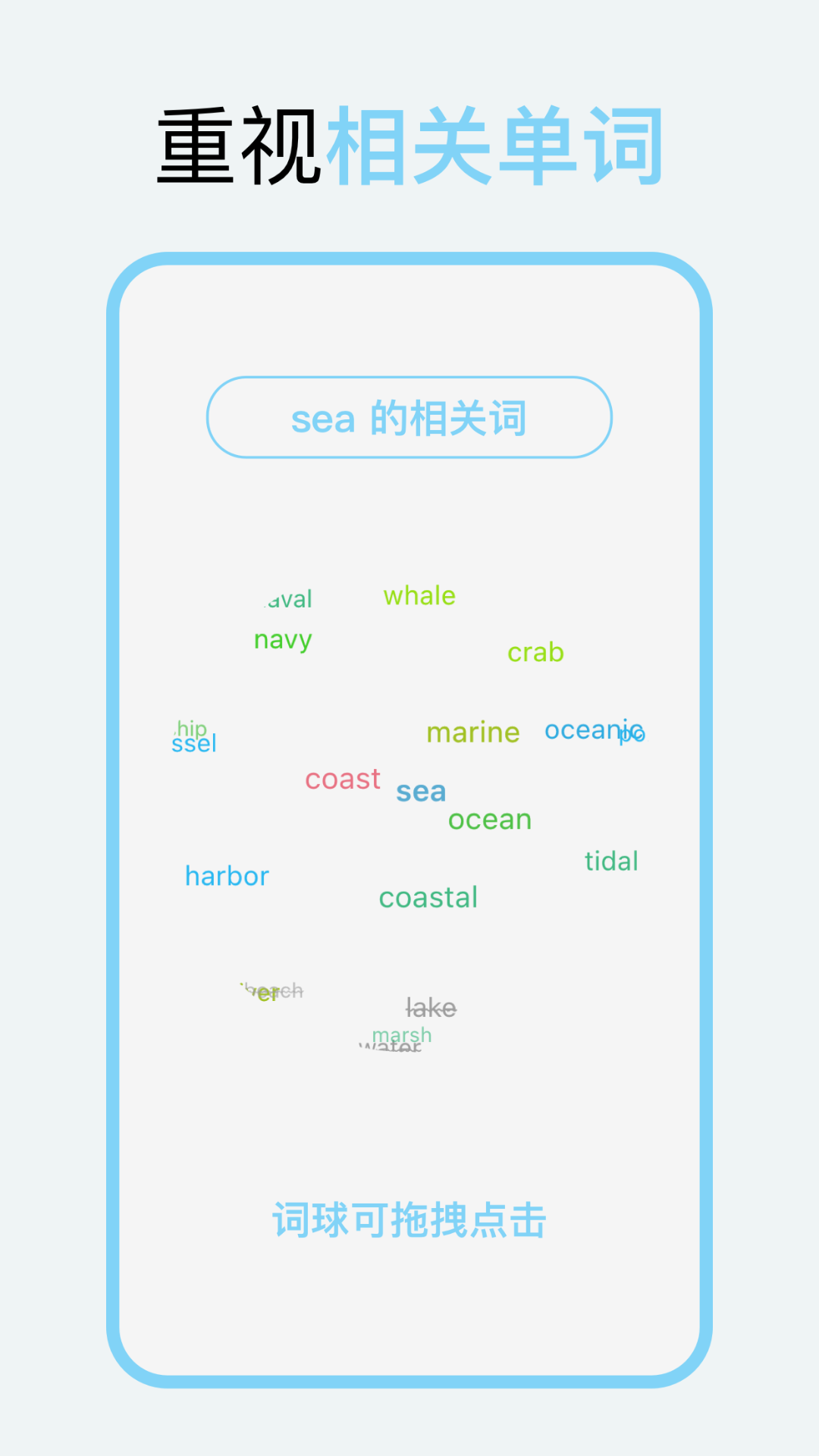 向量单词截图