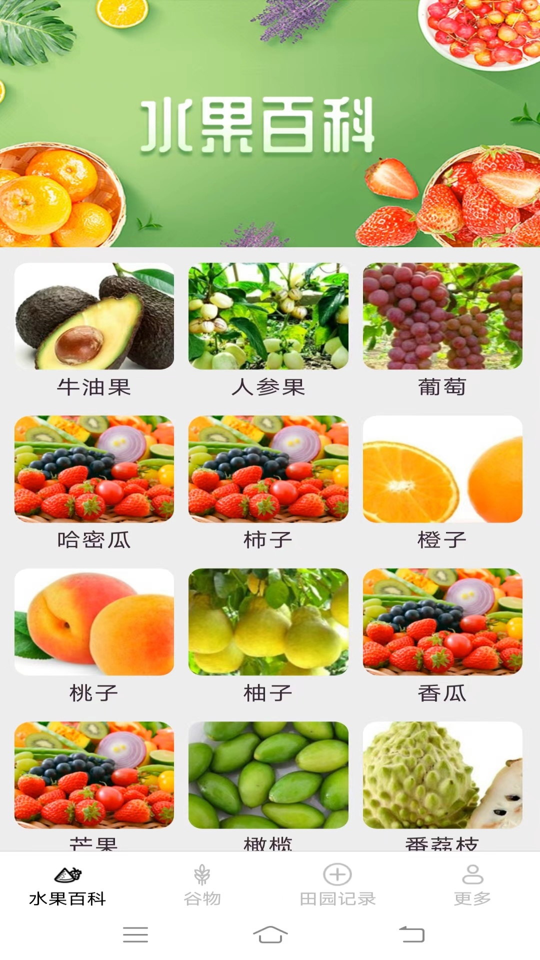 掌上果果多截图