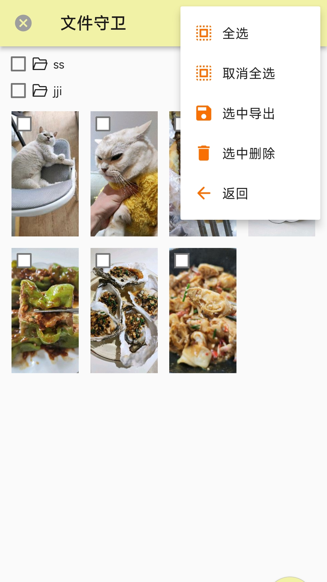 文件守卫截图