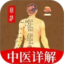 穴位经脉详解