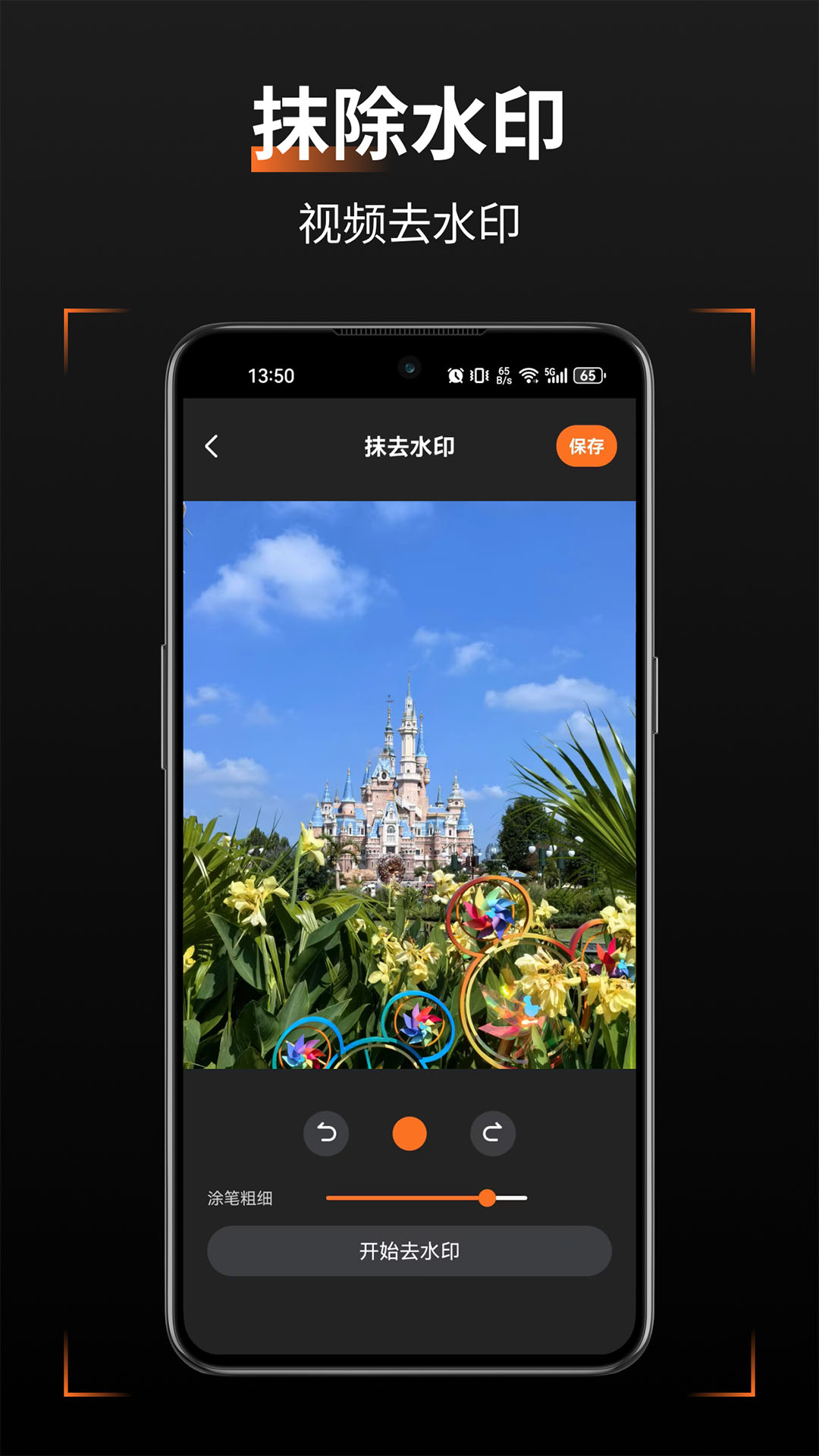 轻轻去水印截图