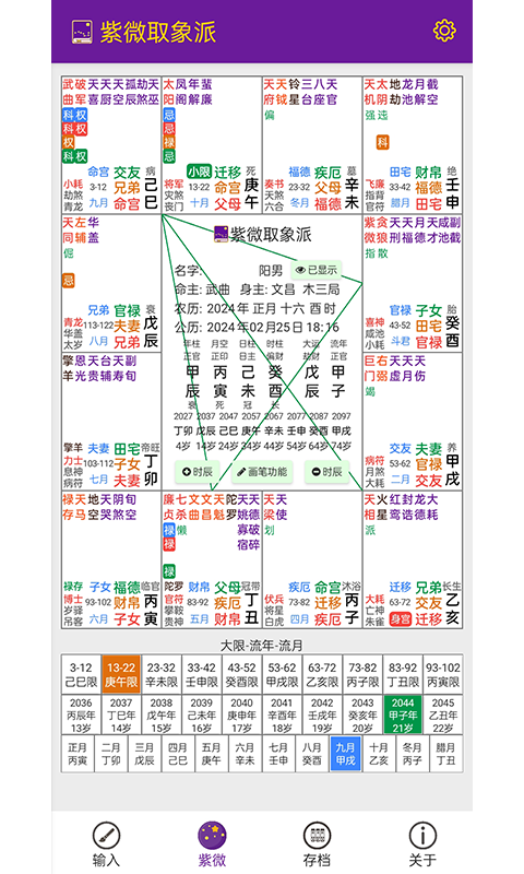 紫微取象派截图
