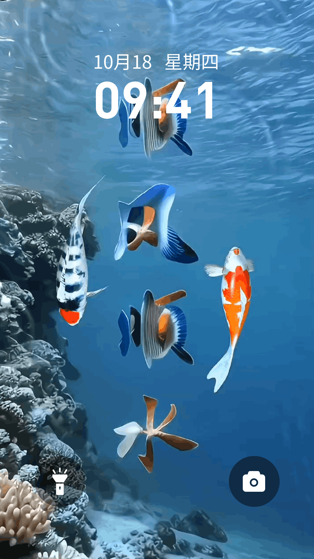 桌面养鱼壁纸截图