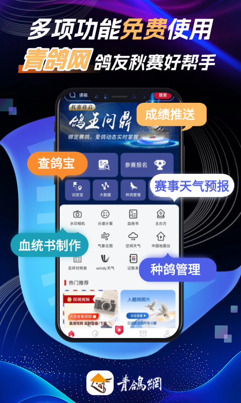 青鸽网截图