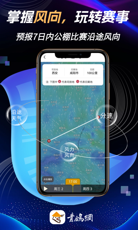 青鸽网截图