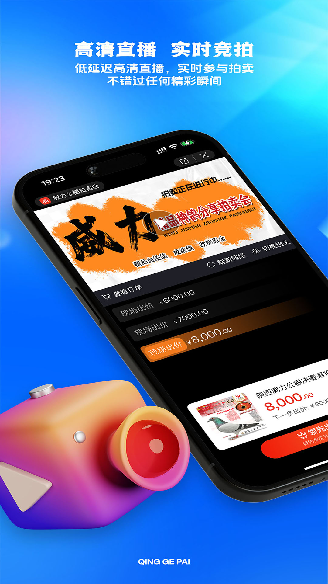 青鸽拍截图
