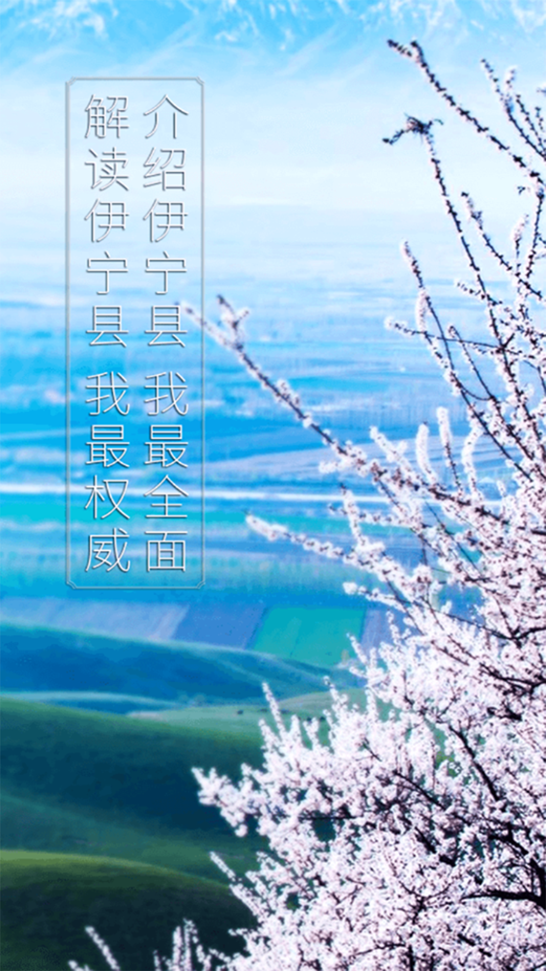 杏乡好地方截图