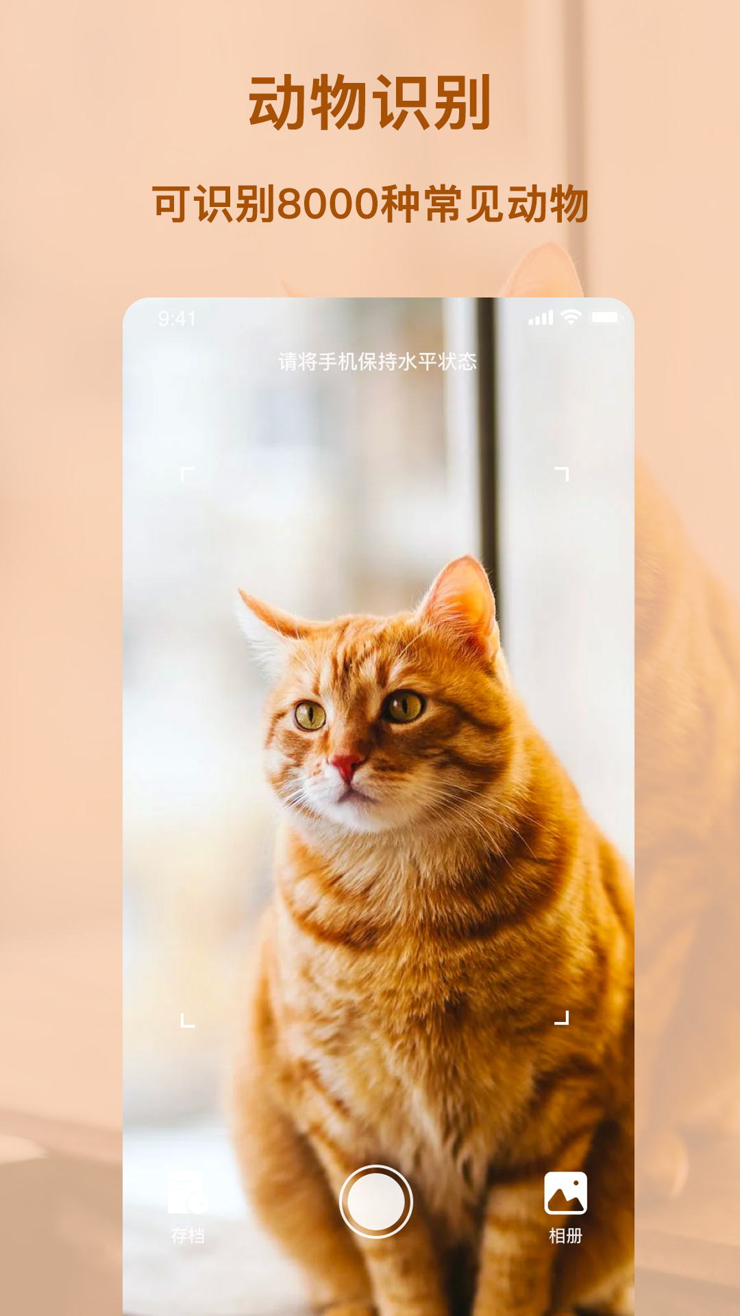 行色识物截图