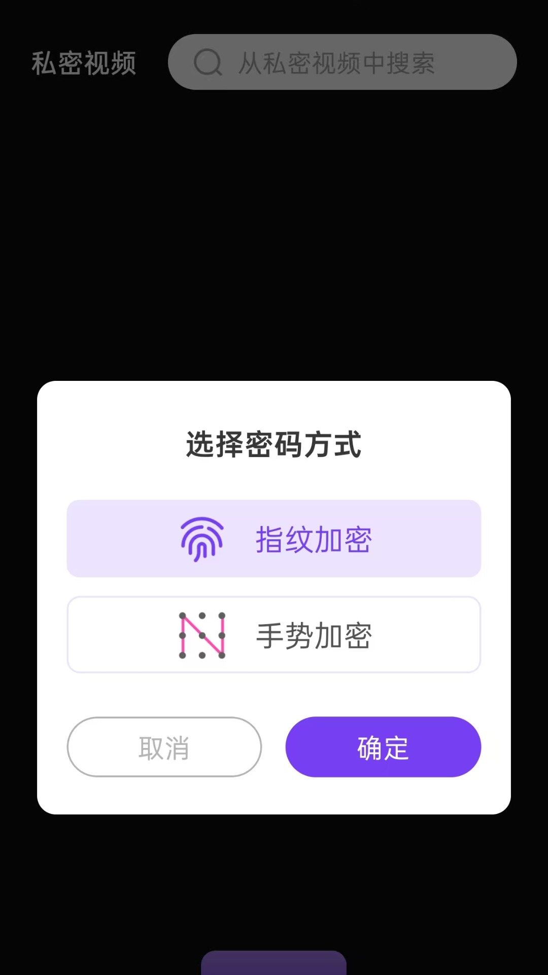 隐私快速播放器截图
