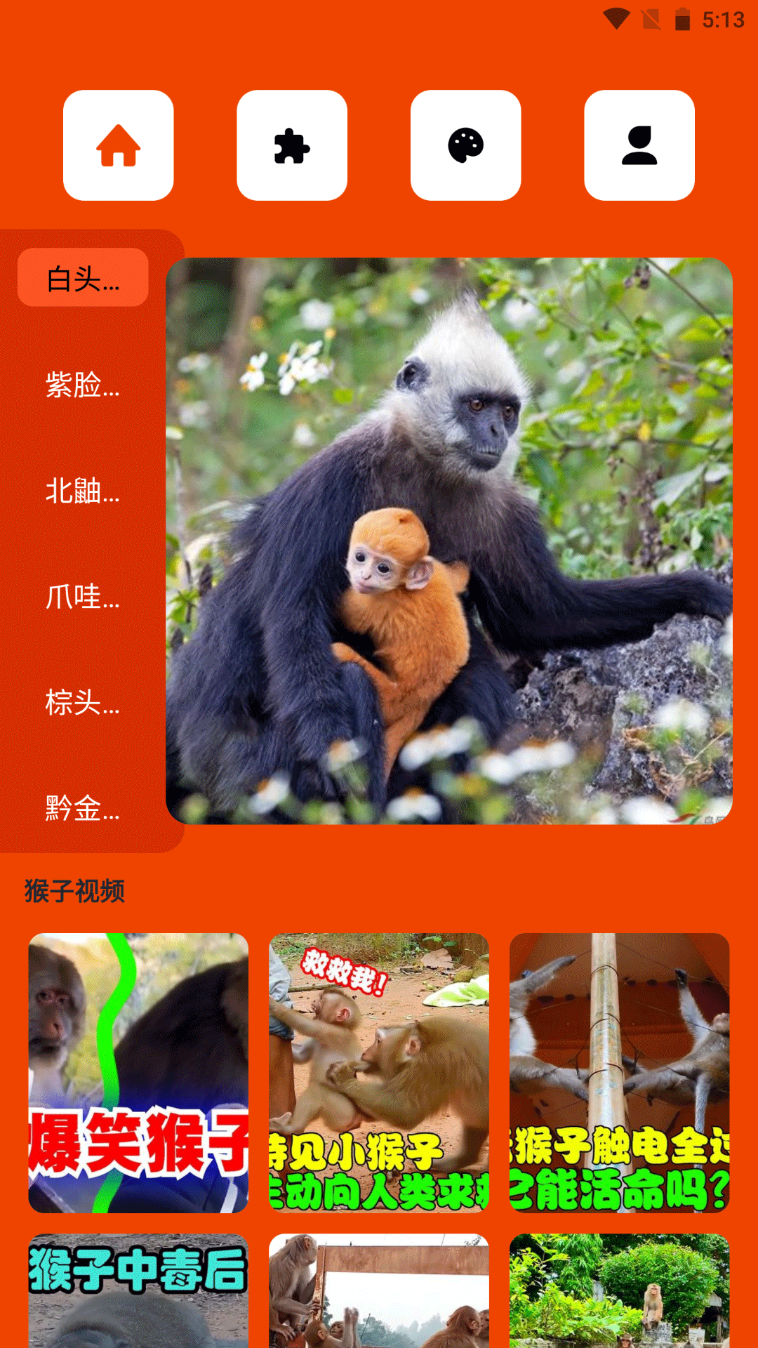 悟空玩乐园截图