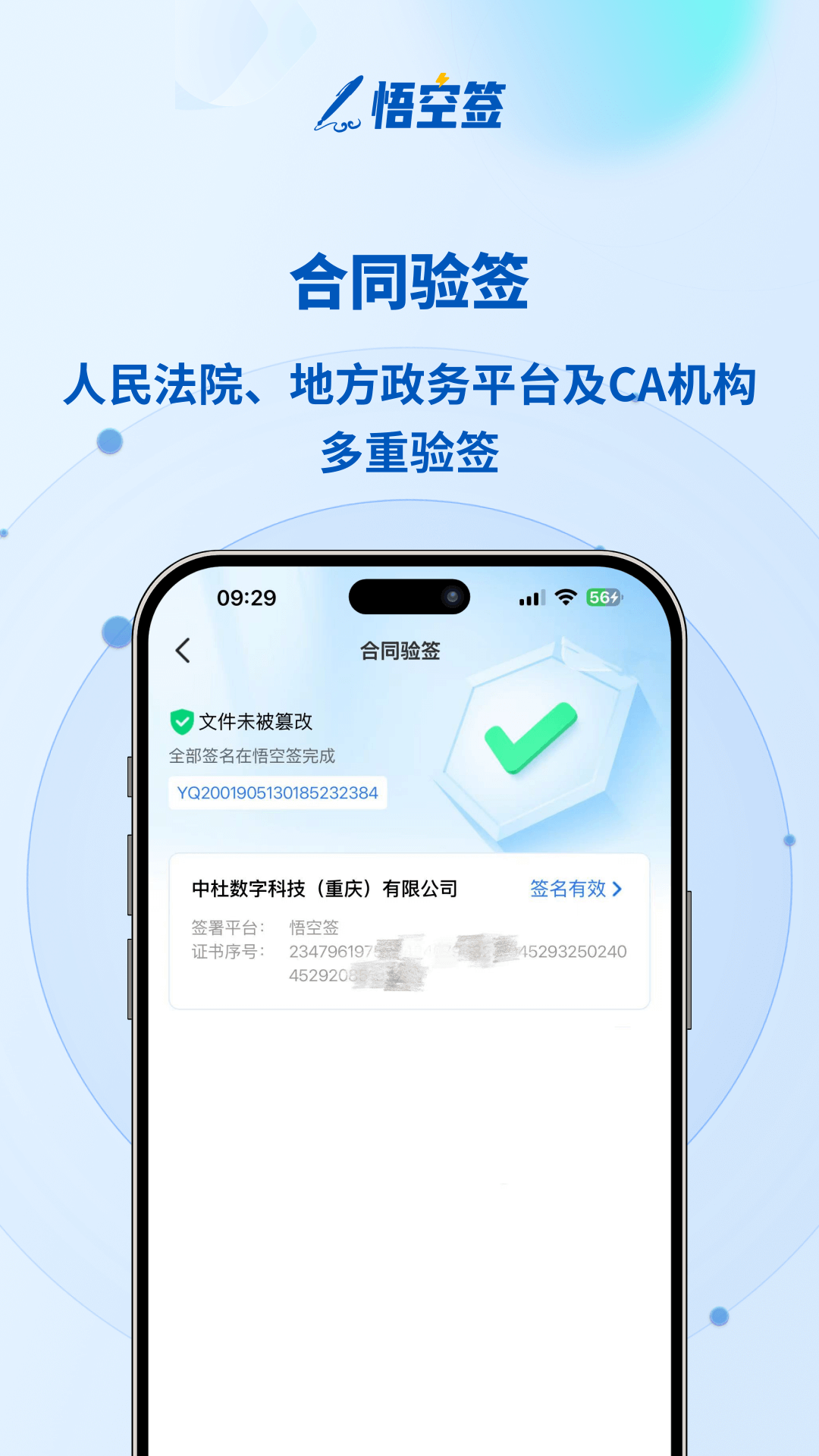 悟空签截图