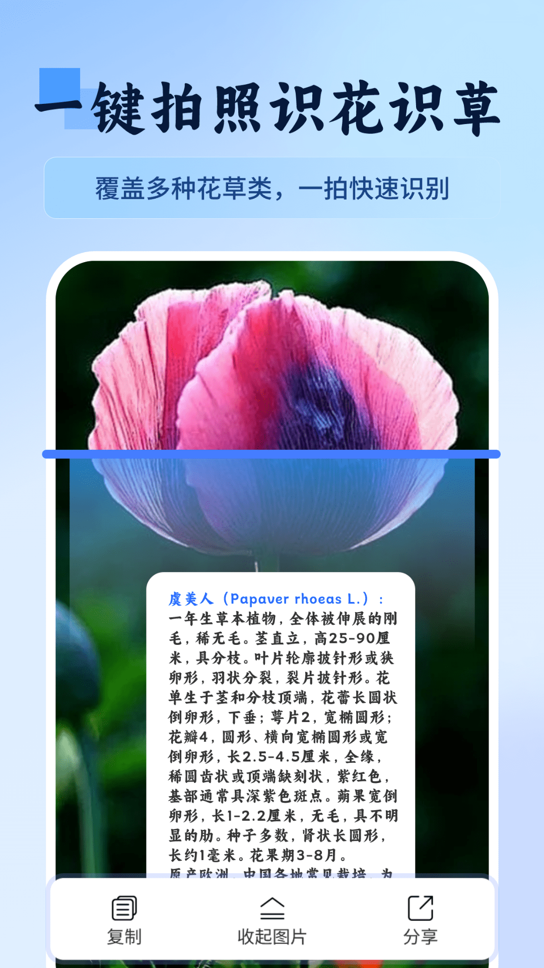 万物识图快拍易识别截图