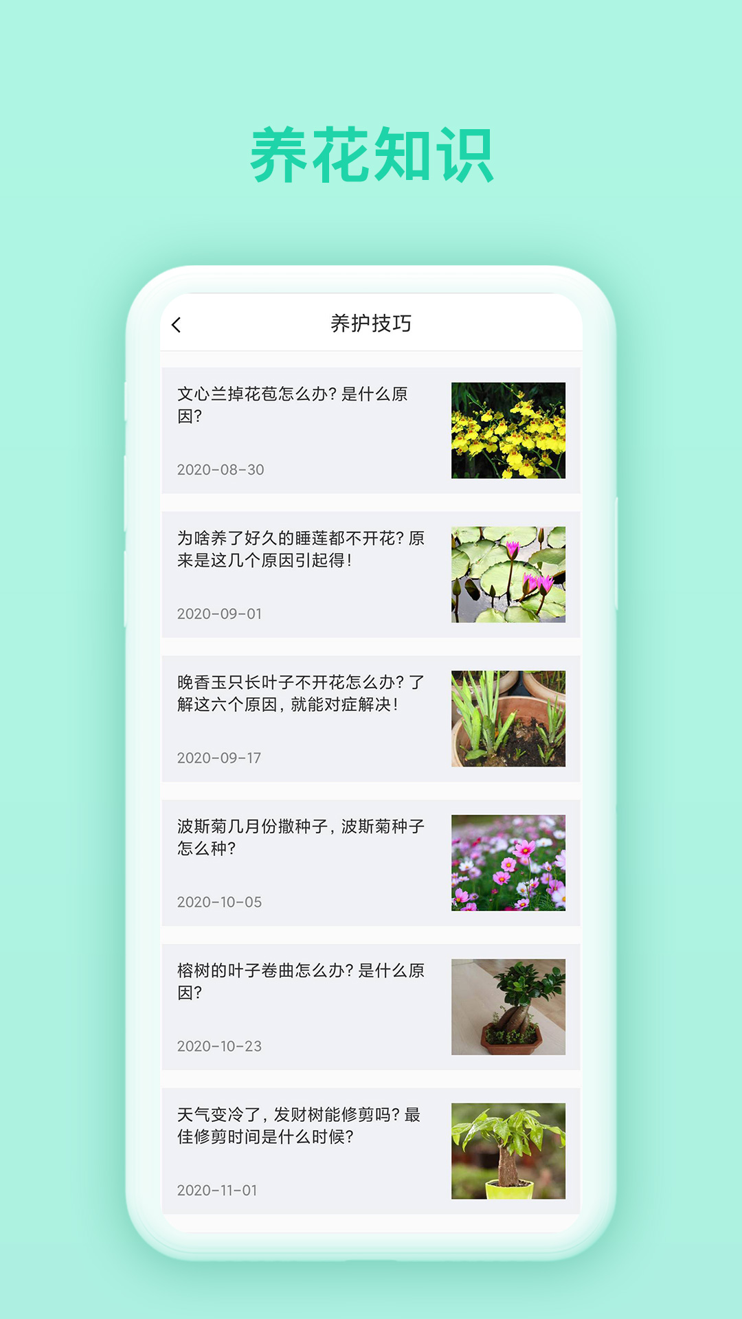 万物识别截图